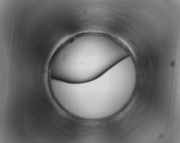 X0000103231085200808280944