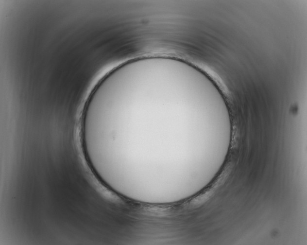 X0000103231086200808280944