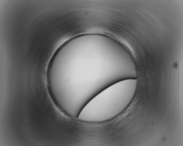 X0000103231087200808280944
