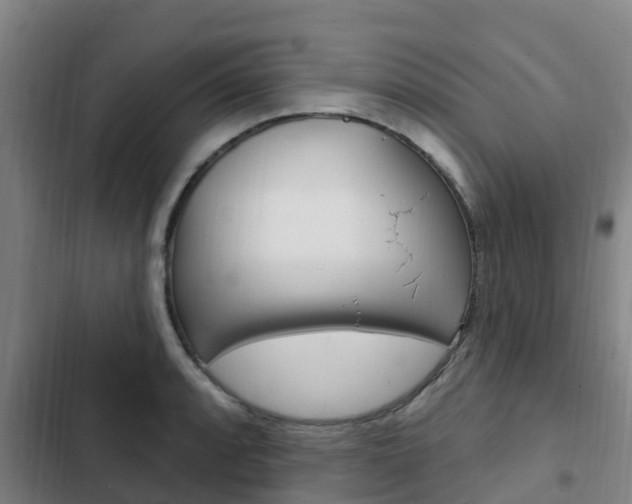 X0000103231088200808280944