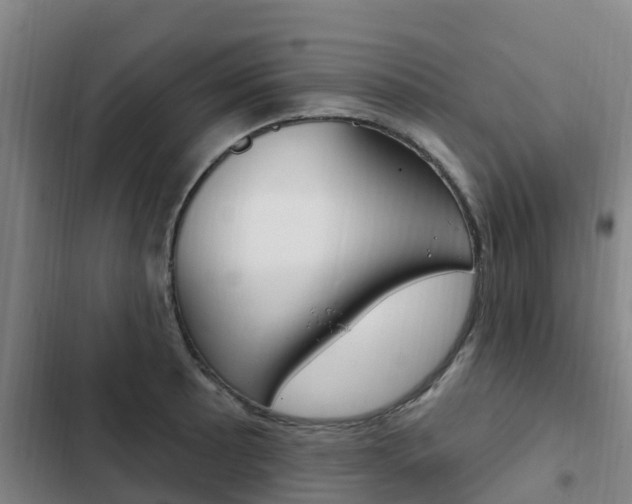 X0000103231089200808280944