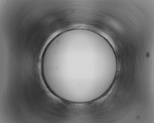 X0000103231090200808280944