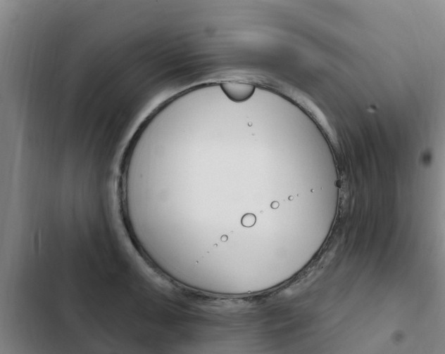 X0000103231091200808280944