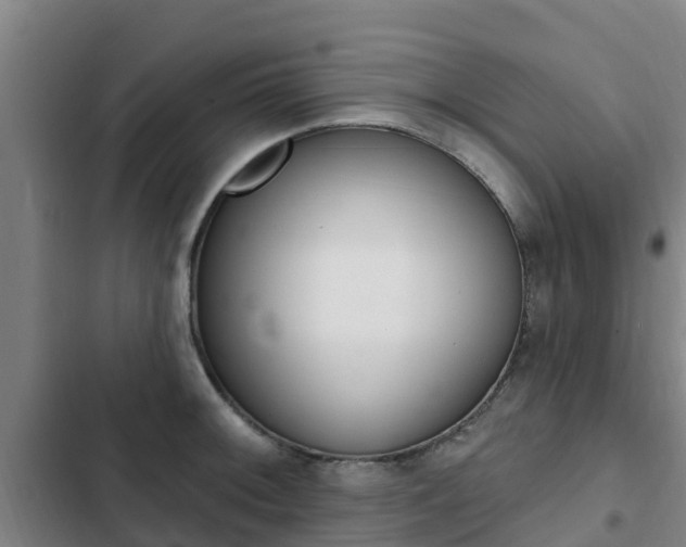 X0000103231092200808280944