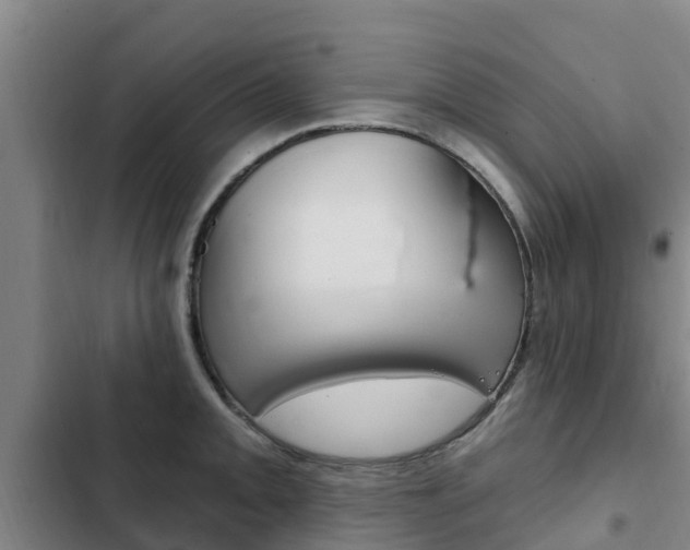 X0000103231093200808280944
