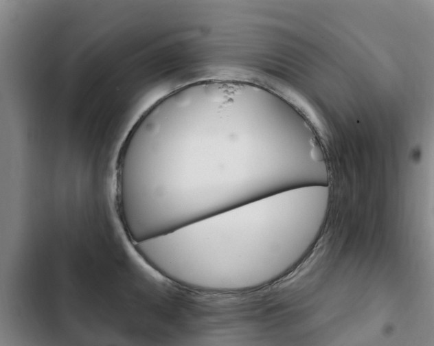 X0000103231095200808280944