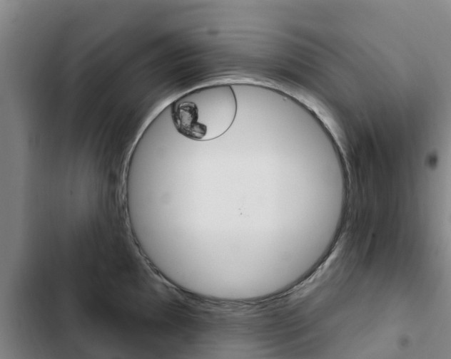 X0000103231097200808280944