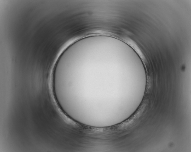 X0000103231098200808280944