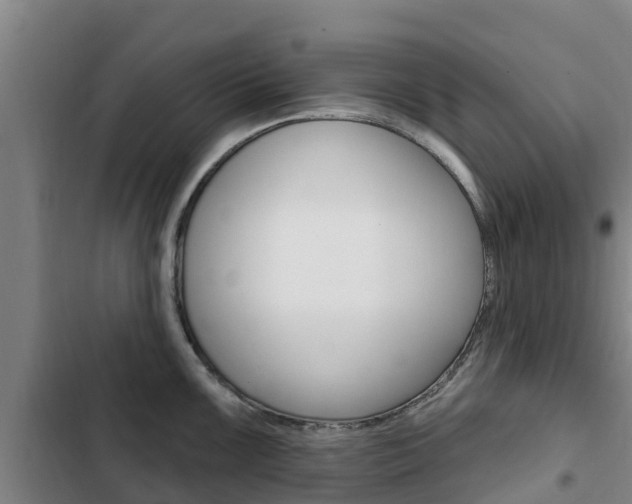 X0000103231099200808280944
