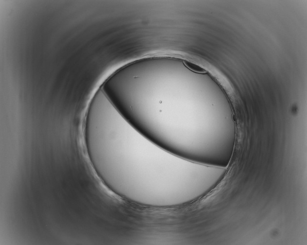 X0000103231102200808280944
