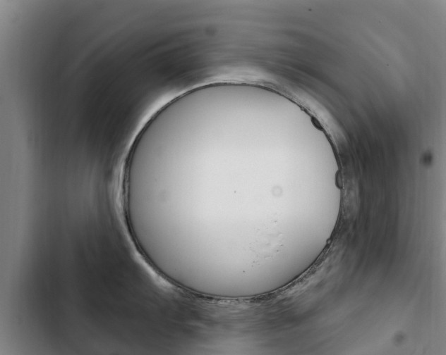 X0000103231103200808280944