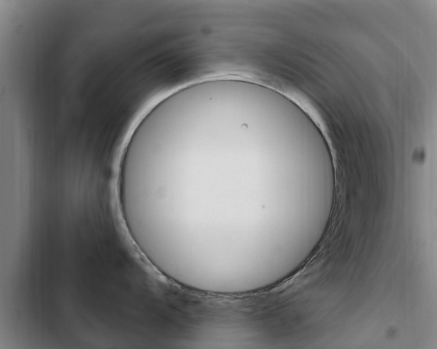 X0000103231104200808280944