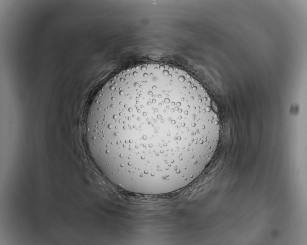 X0000103231105200808280943
