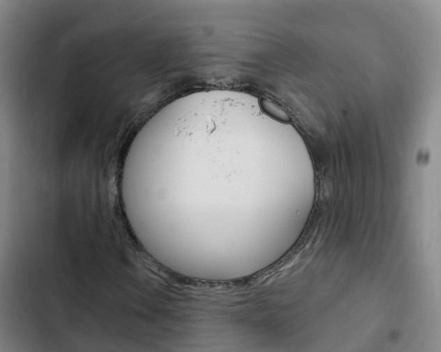 X0000103231106200808280943