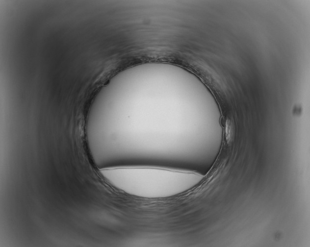X0000103231107200808280943