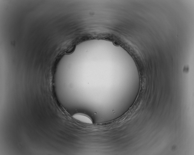 X0000103231108200808280943
