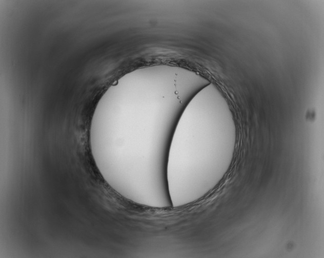 X0000103231109200808280943