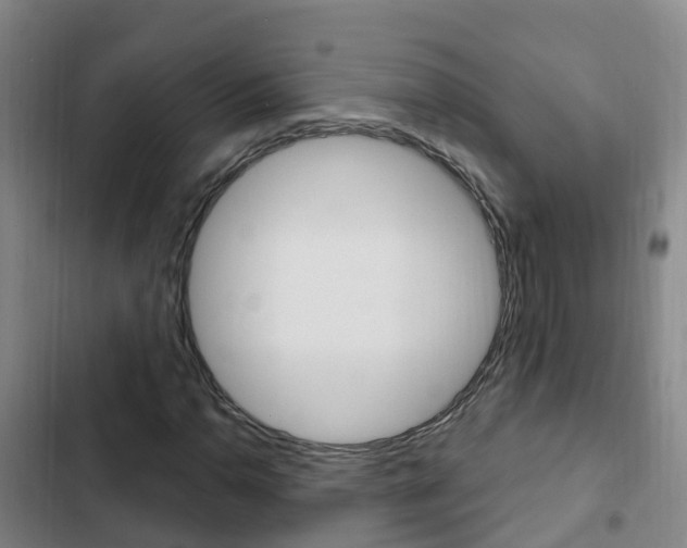 X0000103231110200808280943