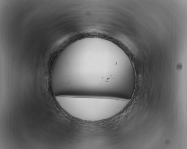 X0000103231111200808280943