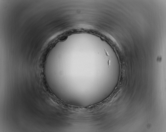 X0000103231112200808280943
