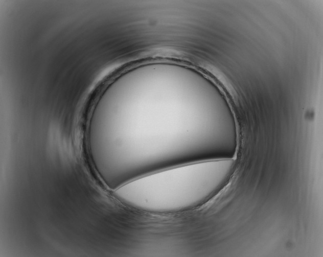 X0000103231115200808280943