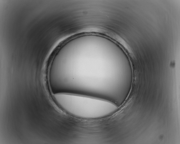 X0000103231116200808280943