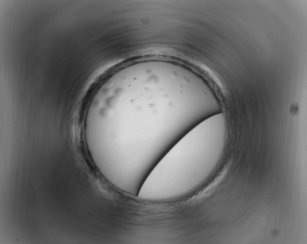 X0000103231117200808280943