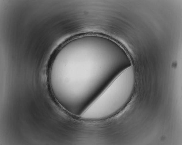 X0000103231118200808280943