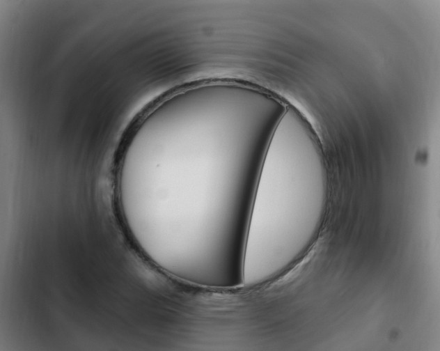 X0000103231119200808280943
