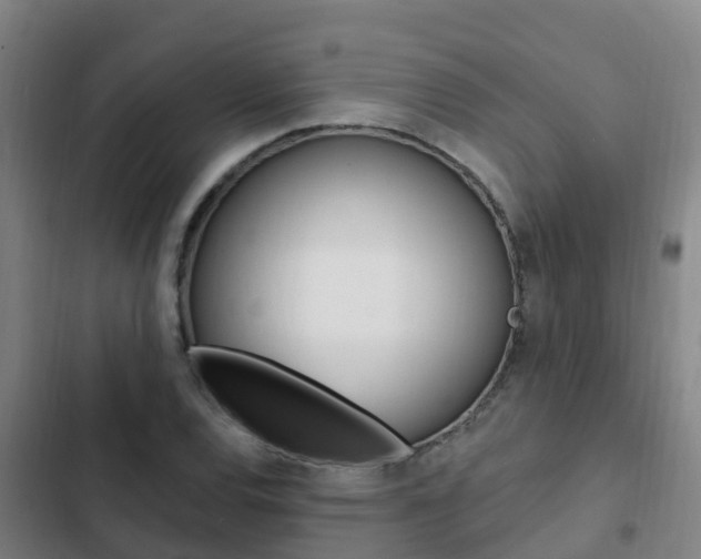 X0000103231120200808280943