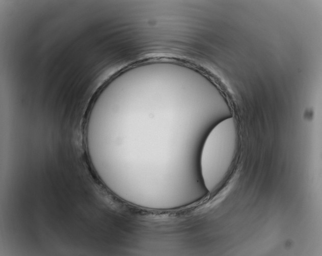 X0000103231121200808280943