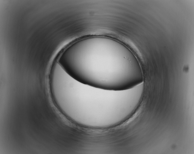 X0000103231122200808280943