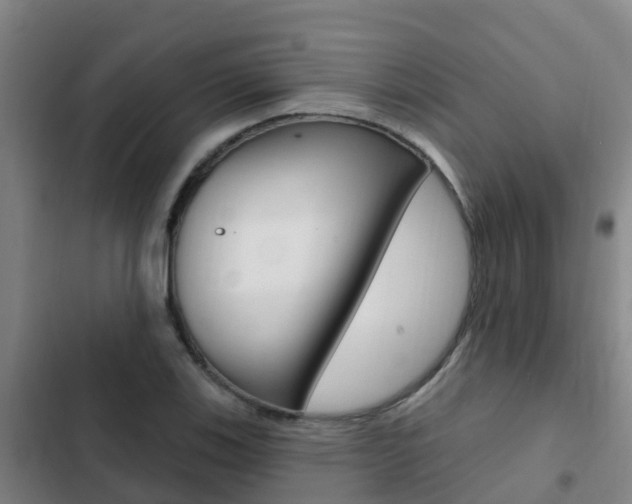X0000103231123200808280943