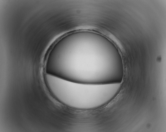 X0000103231124200808280943