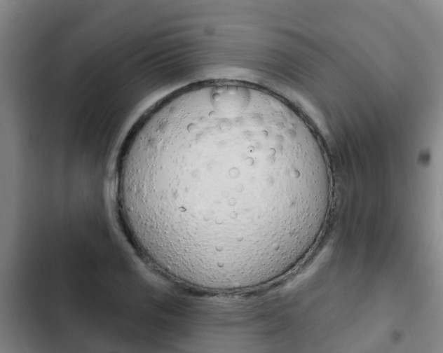 X0000103231125200808280943