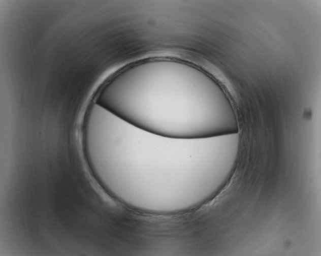 X0000103231127200808280943