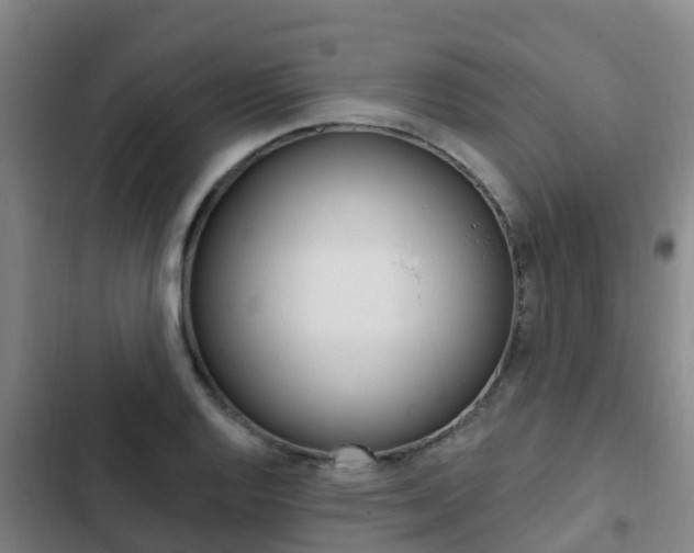 X0000103231128200808280943
