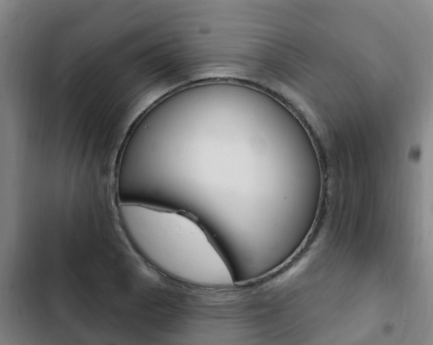 X0000103231129200808280943