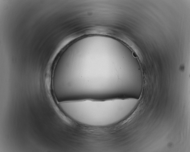 X0000103231131200808280943