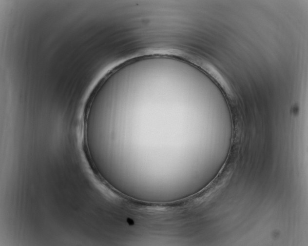 X0000103231132200808280943