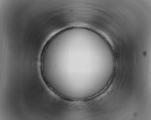 X0000103231133200808280943
