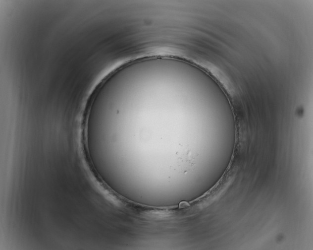 X0000103231134200808280943