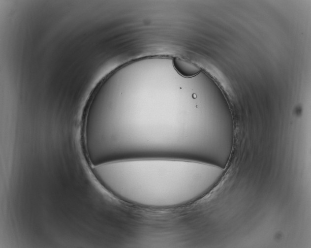 X0000103231135200808280943