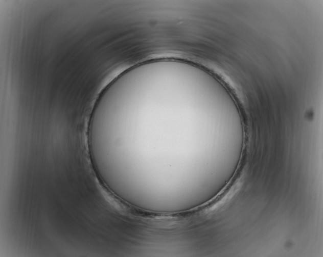 X0000103231137200808280943