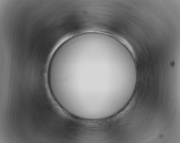 X0000103231138200808280943