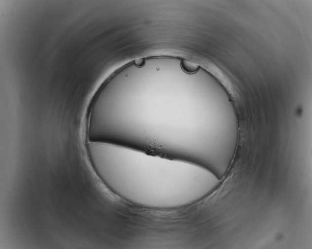 X0000103231140200808280943