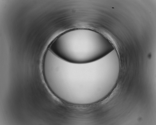 X0000103231141200808280943