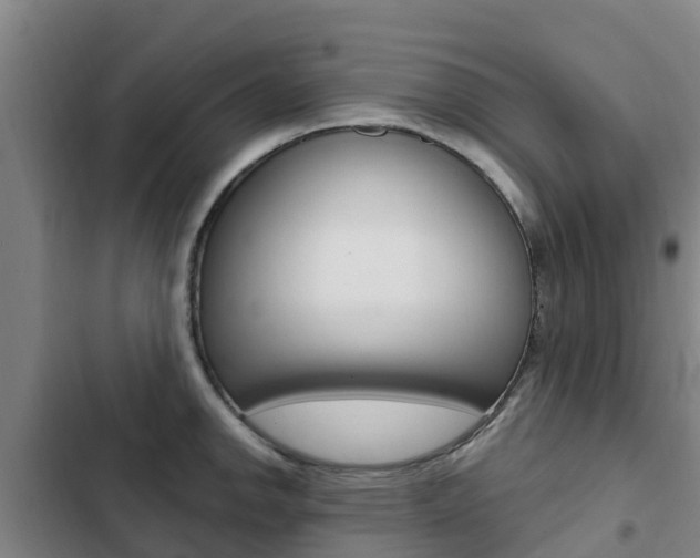 X0000103231142200808280943