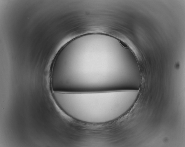 X0000103231143200808280943