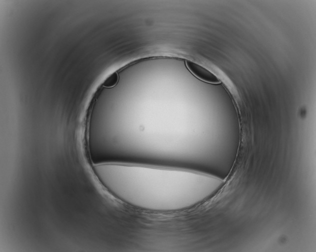 X0000103231144200808280943